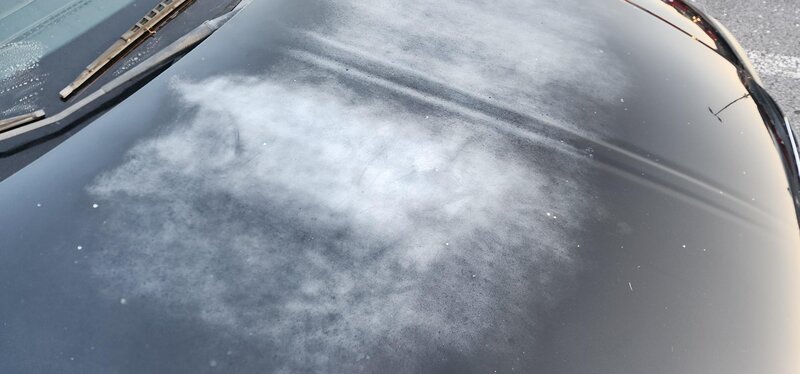 Paint Correction Services